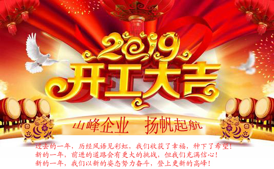 山峰外加剂组织2019年开工动员会